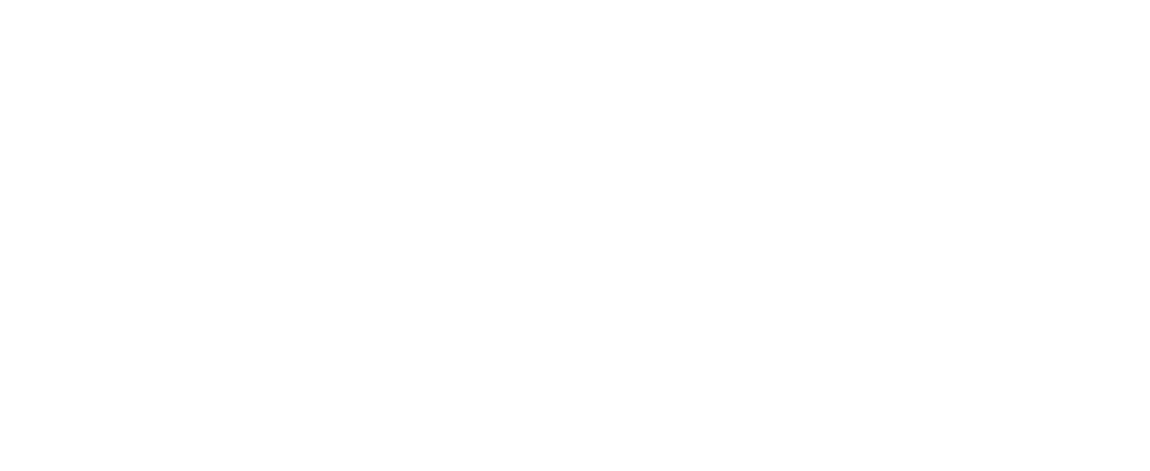 G-Party