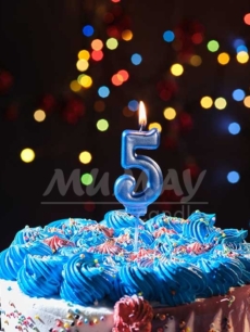 5 Mavi Rakam Mum
